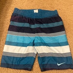 Nike Blue Striped Swim Shorts